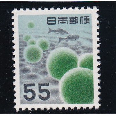 画像1: 第２次動植物国宝切手、５５円旧まりも