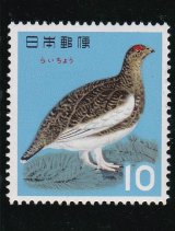 画像: 鳥シリーズ、雷　鳥